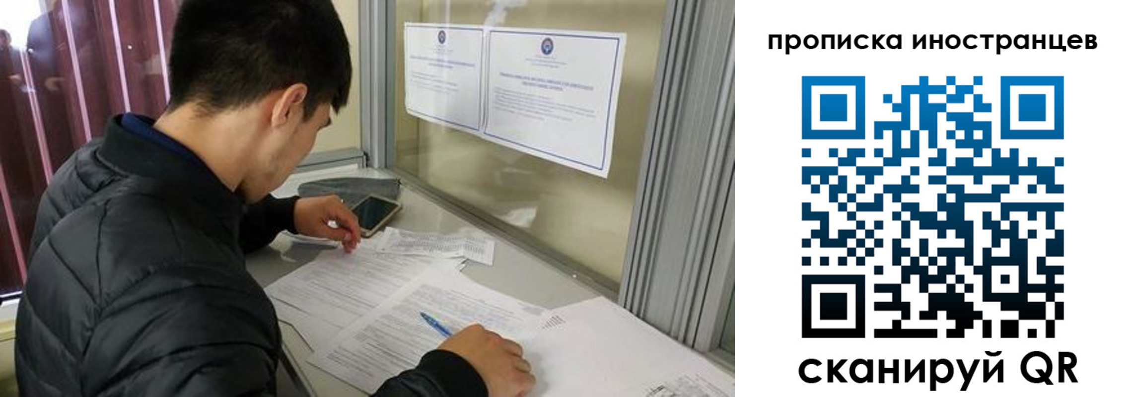прописка в Борзе